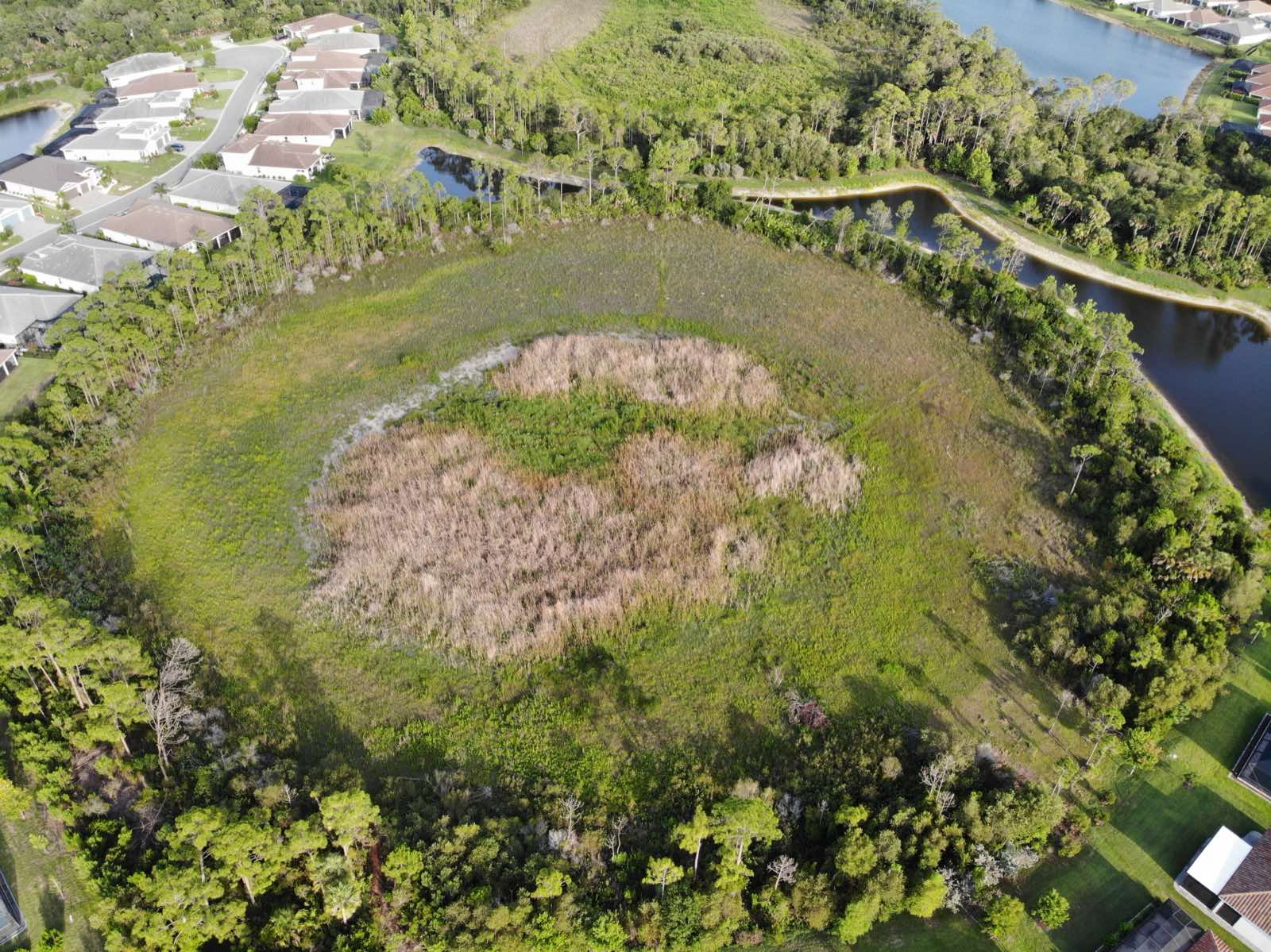 Aerial photo of a round stormwater basin with green and dried-brown vegetation visible across most of it, ringed by trees, with a canal to the east.