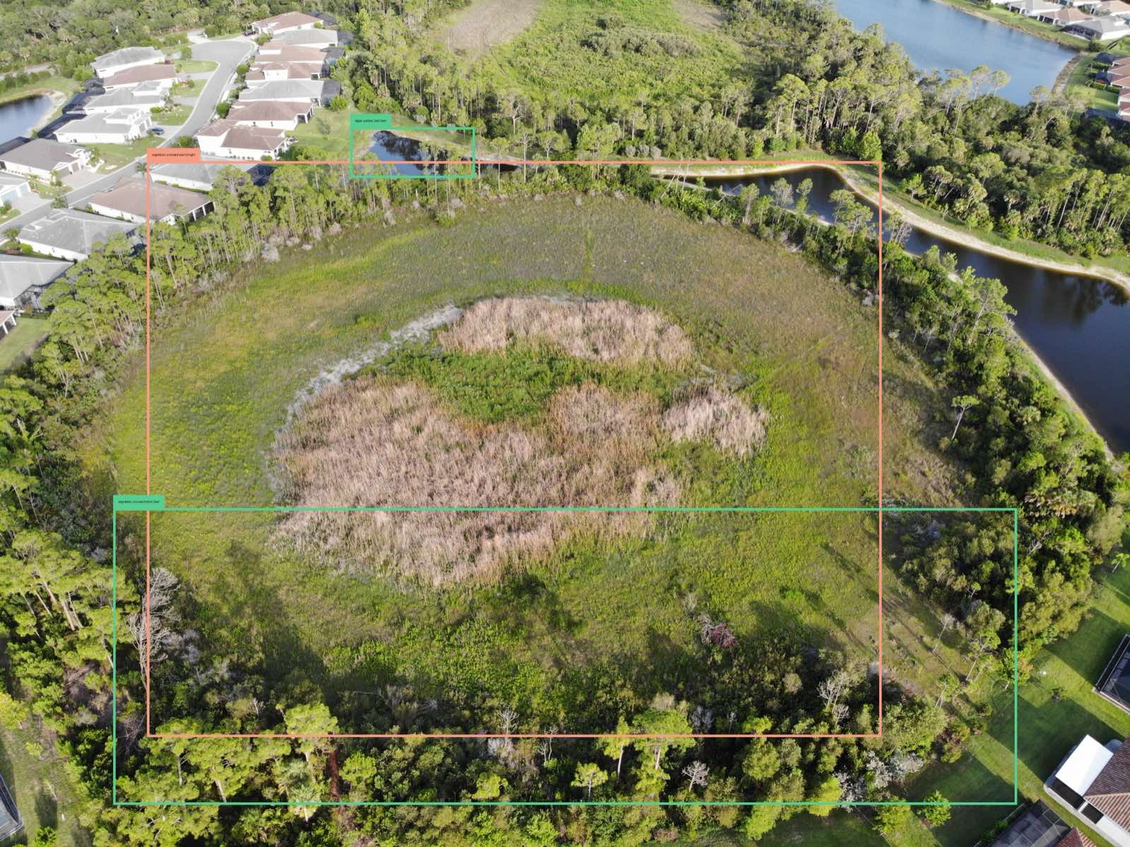 The same aerial photo of the pond basin with the vegetated area outlined by the reviewer.